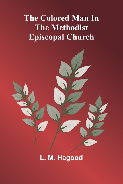 The Colored Man In The Methodist Episcopal Church