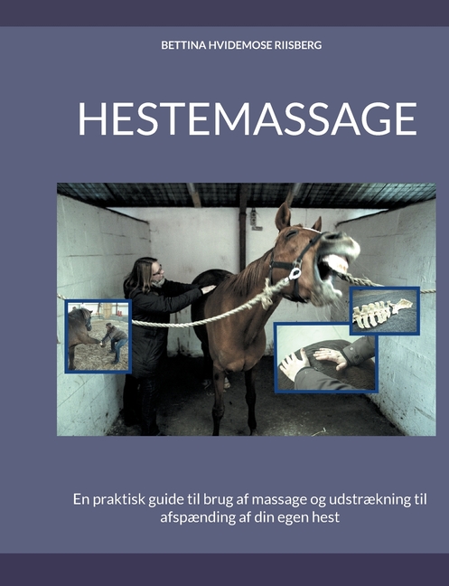 Hestemassage: En praktisk guide til brug af massage og udstrækning til afspænding af din egen hest