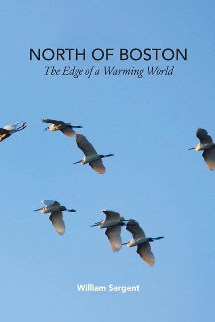 North of Boston- Whales and Tales