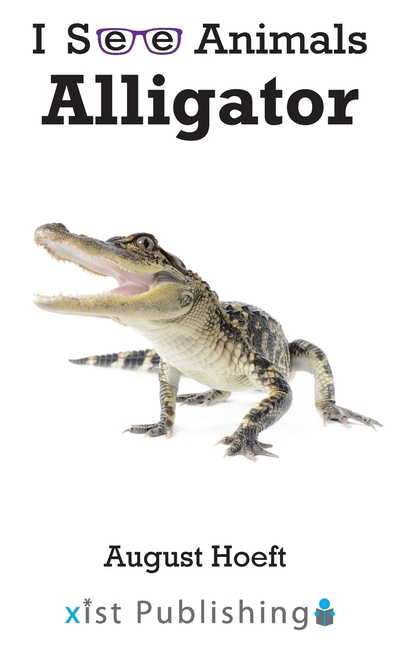 Alligator