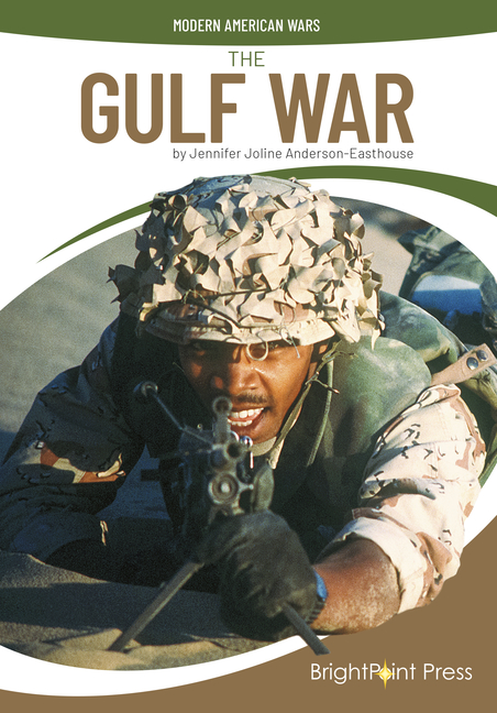 The Gulf War