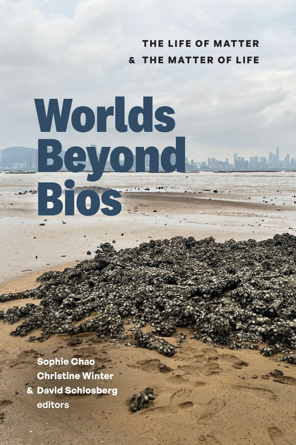 Worlds Beyond BIOS: The Life of Matter and the Matter of Life