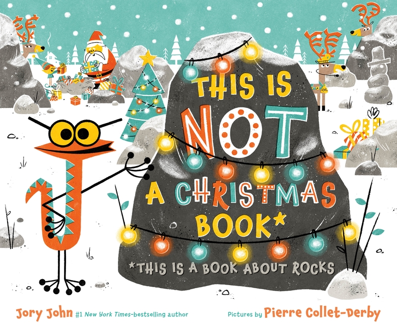 This Is Not a Christmas Book* (*This Is a Book about Rocks)