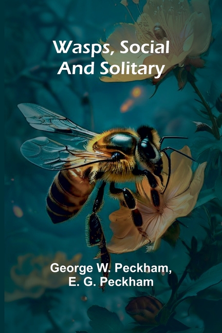Wasps, Social And Solitary