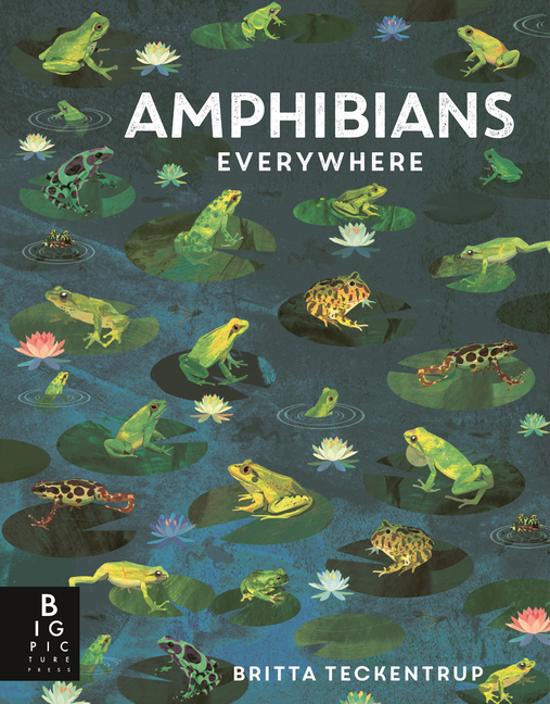 Amphibians Everywhere: (A Kids' Nonfiction Science and Nature Book about Frogs, Toads, Newts, Salamanders, and Habitats for Ages 6-9)