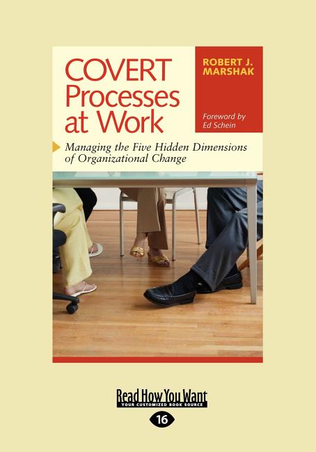 Covert Processes at Work: Managing the Five Hidden Dimensions of Organizational Change (Easyread Large Edition)