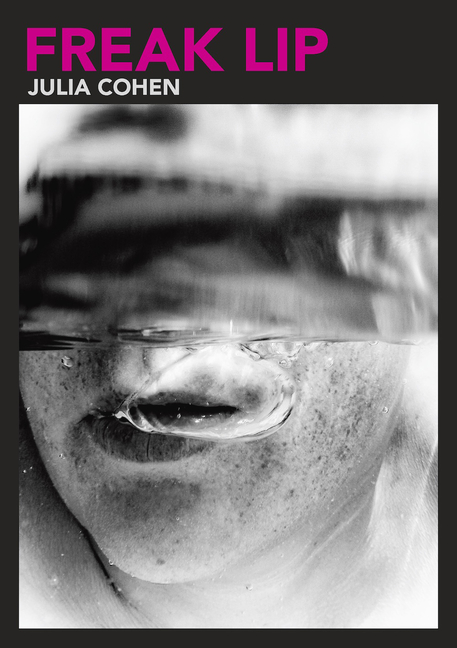Freak Lip: Essays of the Unsaid Volume 5
