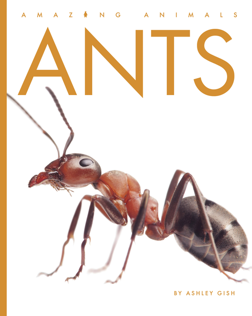 Ants