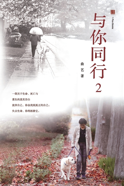 与你同行 2: 在失去、疾病与信仰之间，一段&#