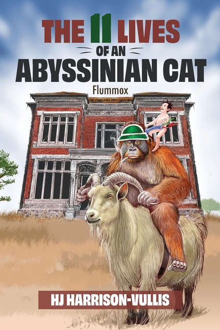 The 11 Lives of an Abyssinian Cat: Flummox