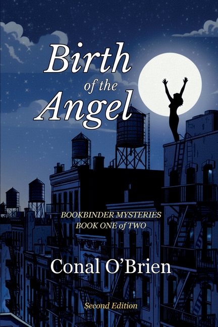 Birth of the Angel: Bookbinder Mysteries: Book One of Two