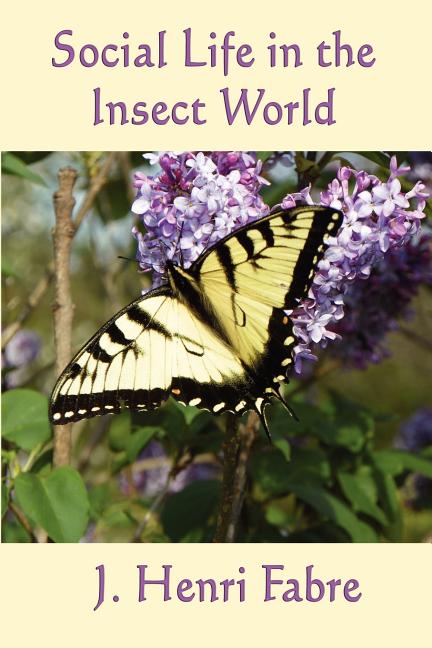 Social Life in the Insect World: Observations on Behavior and Organization in the Insect World