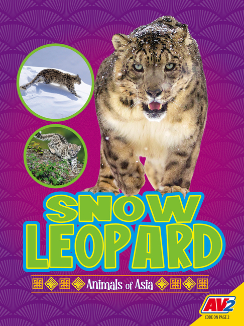 Snow Leopard
