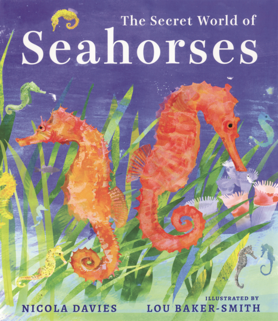 Secret World of Seahorses