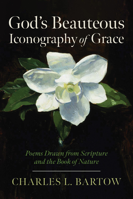 God's Beauteous Iconography of Grace