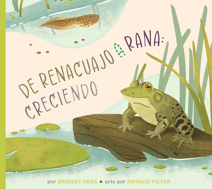 de Renacuajo a Rana: Creciendo