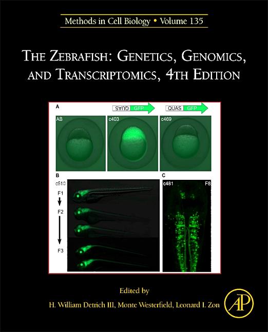 The Zebrafish: Genetics, Genomics, and Transcriptomics: Volume 135