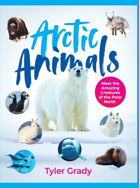 Arctic Animals
