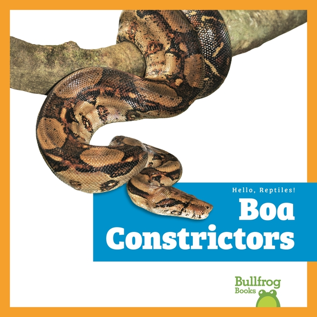 Boa Constrictors