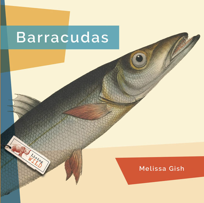 Barracudas