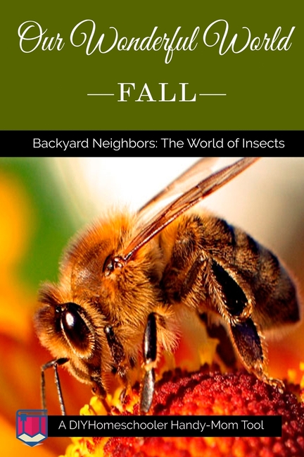 Our Wonderful World Fall: Backyard Neighbors-The World of Insects