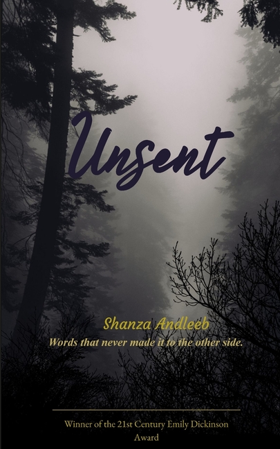 Unsent Words that never made it to the other side.
