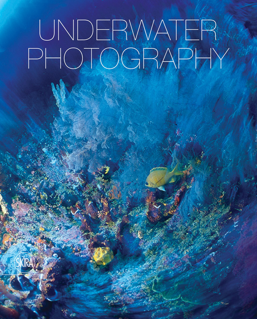 Underwater Photography: By Vincenzo Paolillo