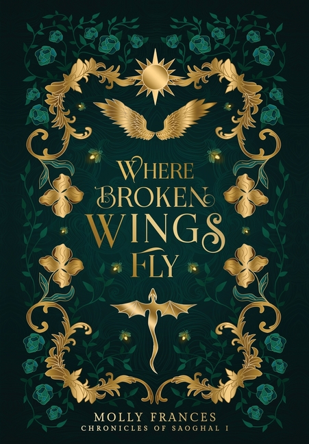 Where Broken Wings Fly