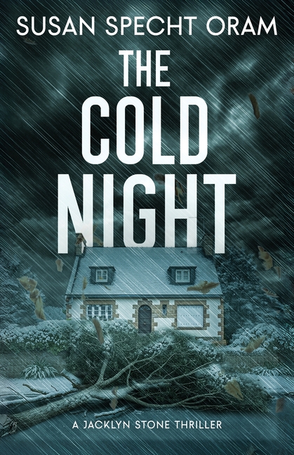 The Cold Night: A Jacklyn Stone Thriller