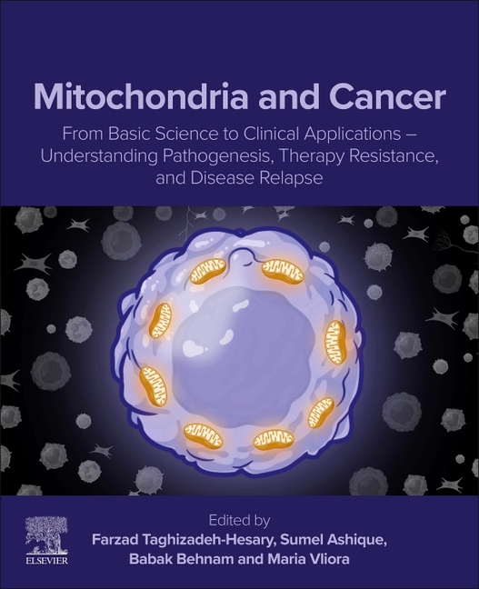 Mitochondria and Cancer: From Basic Science to Clinical Applications - Understanding Pathogenesis, Therapy Resistance, and Disease Relapse
