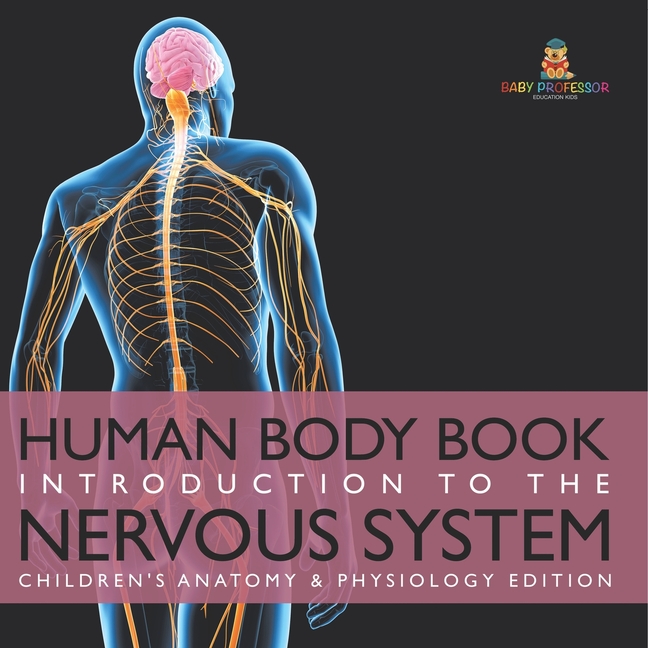 Human Body Book Introduction to the Nervous System Children's Anatomy & Physiology Edition