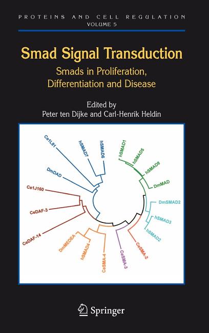 Smad Signal Transduction: Smads in Proliferation, Differentiation and Disease