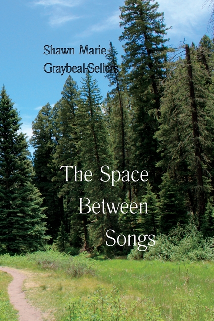 The Space Between Songs