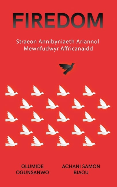 Firedom: Straeon Annibyniaeth Ariannol Mewnfudwyr Affricanaidd