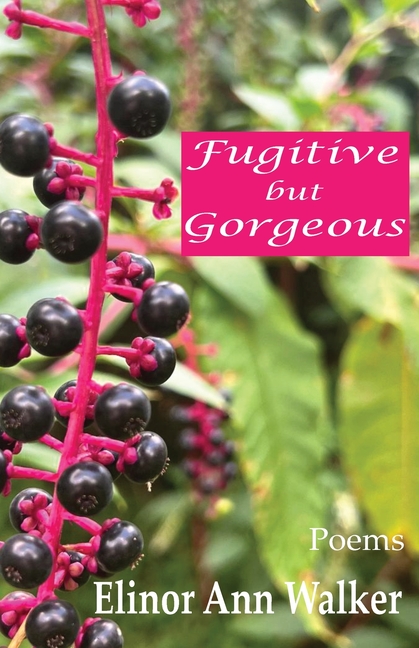 Fugitive but Gorgeous