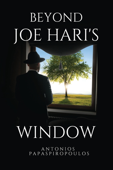 Beyond Joe Hari's Window