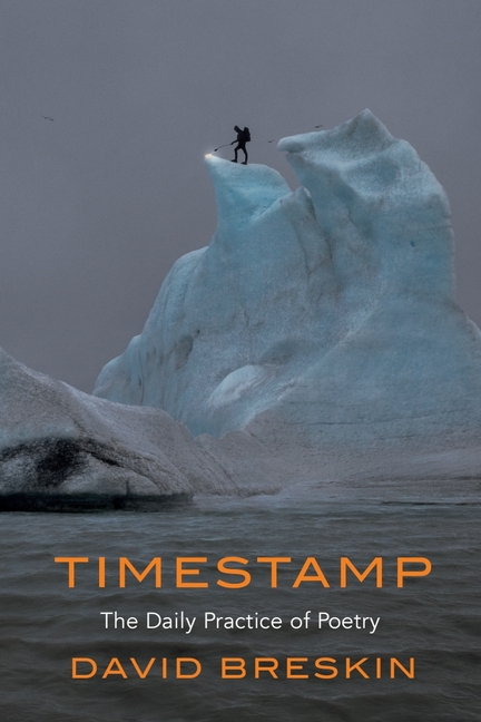 Timestamp: The Daily Practice of Poetry