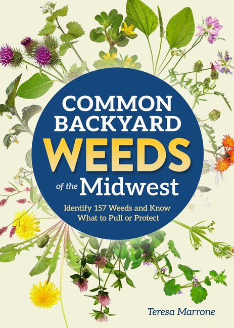 Common Backyard Weeds of the Midwest: Identify 157 Weeds and Know What to Pull or Protect