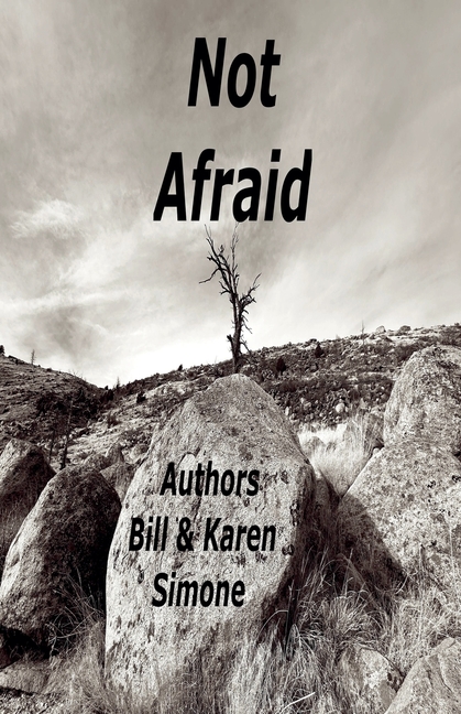 Not Afraid