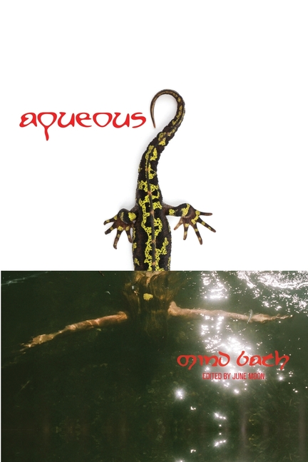 Aqueous