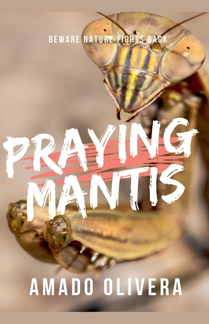 Praying Mantis