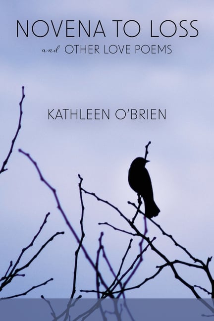 Novena to Loss and Other Love Poems