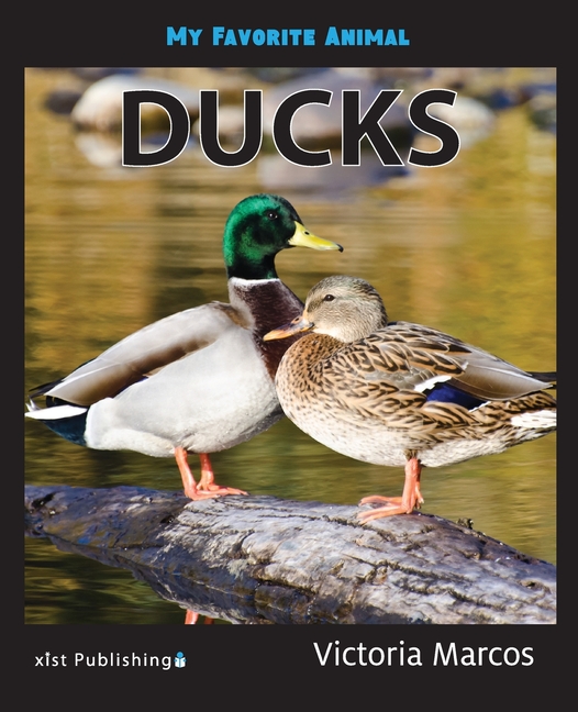 My Favorite Animal: Ducks