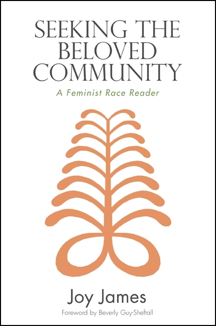 Seeking the Beloved Community: A Feminist Race Reader