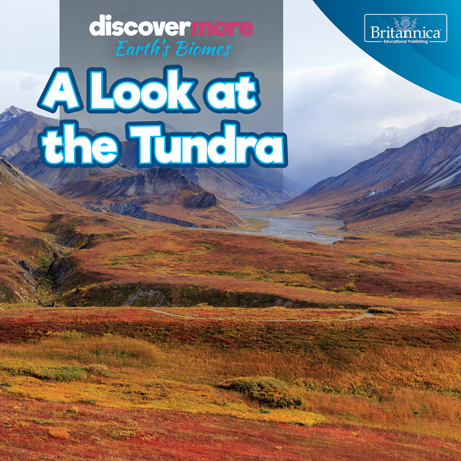 A Look at the Tundra