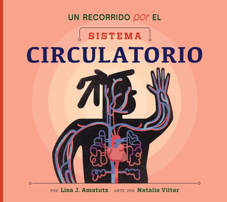 Un Recorrido Por El Sistema Circulatorio