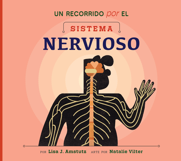 Un Recorrido Por El Sistema Nervioso
