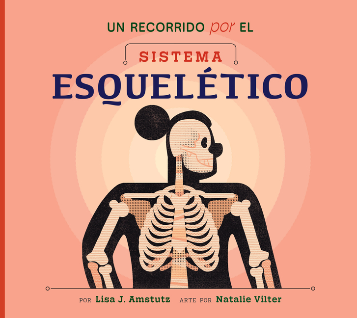 Un Recorrido Por El Sistema Esquelético