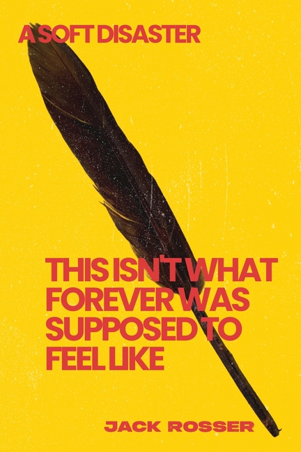 This Isn't What Forever Was Supposed To Feel Like: A Soft Disaster
