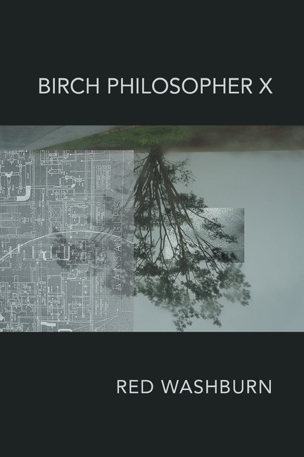 Birch Philosopher X